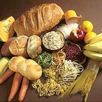 Carbs for training martial arts