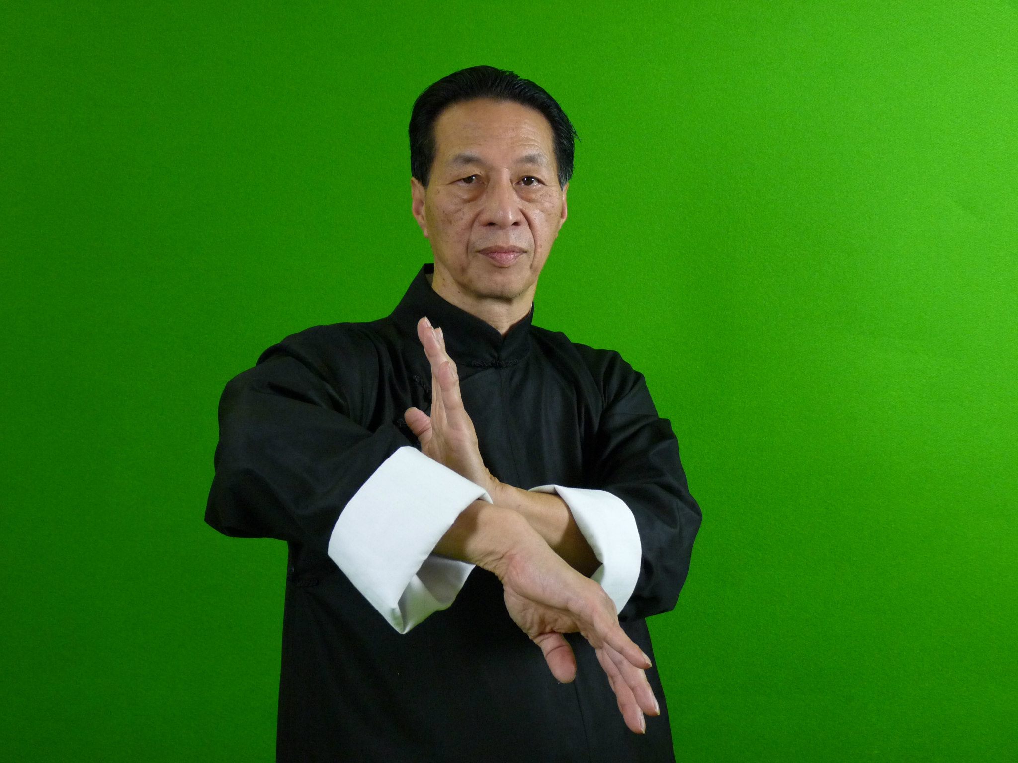 Wing Chun iPhone and Android App2048 x 1536