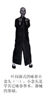 Ip Man double Tan Sau Ip Man double Tan Sau