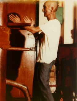 Ip Man wooden Dummy