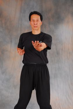 Sam Kwok doing a Wing Chun block