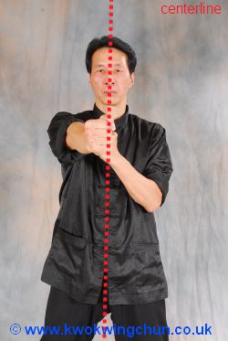 wing chun punching in centerline image