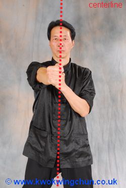 Sam Kwok Punching in the Centerline wing chun punching in centerline image