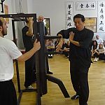 wing chun kung fu dummy