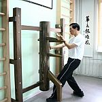tan sau against wooden dummy