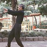 ip chun doing chum kiu.jpg