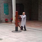 ip chun on a wooden dummy.jpg