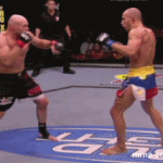 wing chun style front kick in ufc.jpg