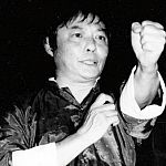 wong shun leung turning punch.jpg
