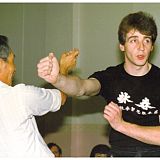 ip chun biu sau against punch