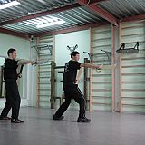 master kwok teaching bart cham dao