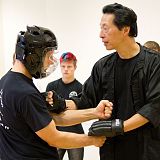 wing chun punch