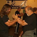 doing wing chun