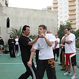 Wing Chun