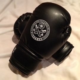 Sanda Weight 10oz Boxing Gloves