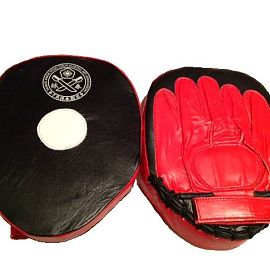 Focus Mitts Pair