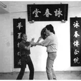 ip chun and sam kwok in VTAA