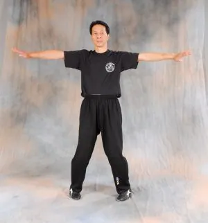 Fak Sau From Sil Lim Tao