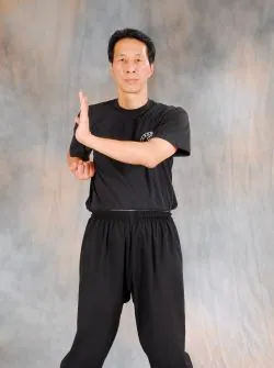 Pak Sau From Sil Lim Tao